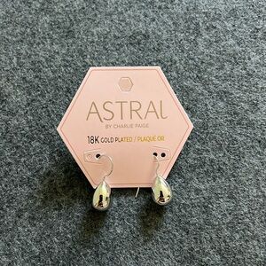 Astral 18 karat gold‎ plated earrings